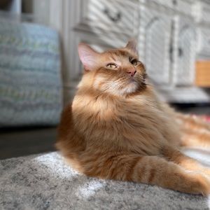 Meet your Posher, Jayden